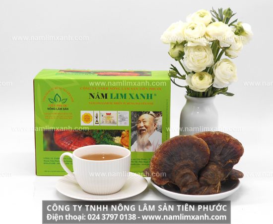 Nấm lim xanh chữa ung thư như thế nào