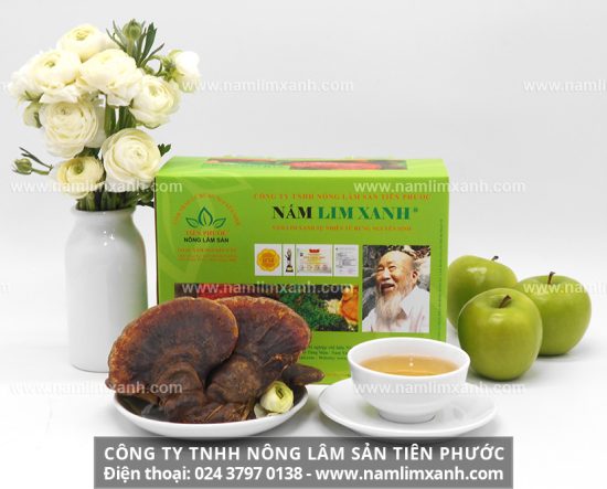 Nấm lim xanh có tác dụng chữa bệnh tiểu đường, gout, huyết áp cao