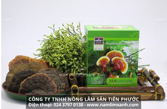 Nấm lim xanh có tác dụng gì và nấm lim rừng có công dụng gì