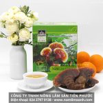 Nấm lim xanh giá bao nhiêu 1kg cách chọn mua nấm lim xanh rừng