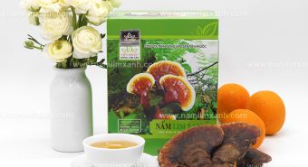 Nấm lim xanh giá bao nhiêu 1kg cách chọn mua nấm lim xanh rừng