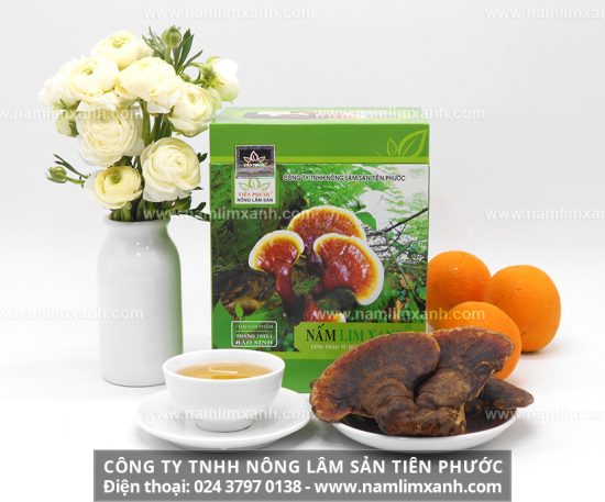 Nấm lim xanh giá bao nhiêu 1kg cách chọn mua nấm lim xanh rừng