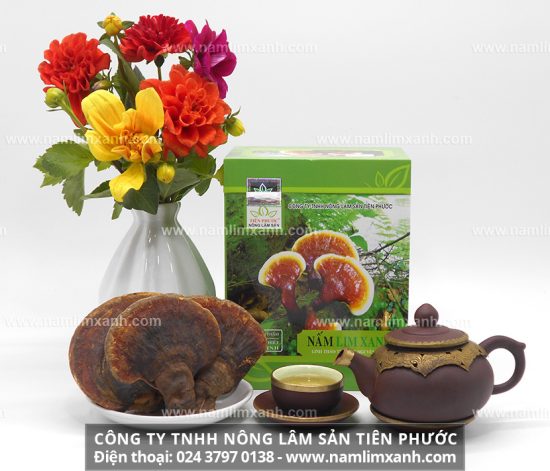 Nấm lim xanh giá bao nhiêu 1kg loại tốt, chính hãng