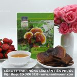 Nấm lim xanh giá bao nhiêu tiền 1kg với nơi mua nấm lim rừng uy tín