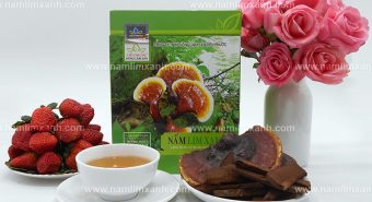 Nấm lim xanh giá bao nhiêu tiền 1kg với nơi mua nấm lim rừng uy tín