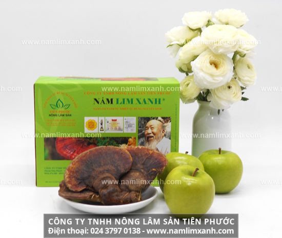 Nấm lim xanh giúp điều trị các bệnh về gan