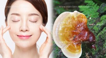 Nấm lim xanh làm đẹp da với cách sử dụng nấm lim xanh hiệu quả