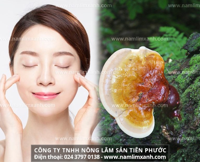 Nấm lim xanh làm đẹp da với cách sử dụng nấm lim xanh hiệu quả