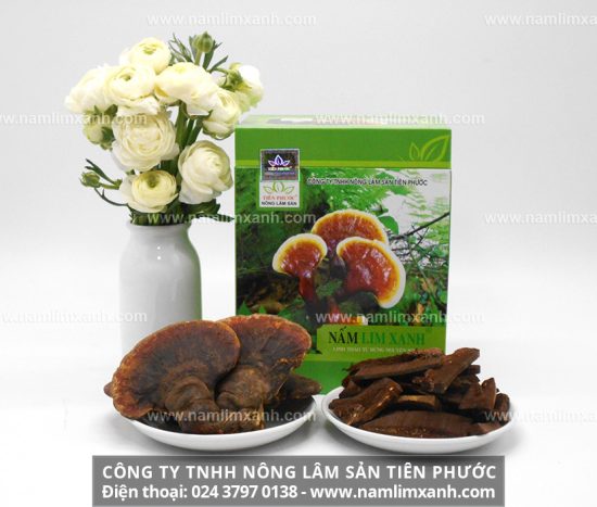 Nấm lim xanh ngâm rượu có tác dụng gì