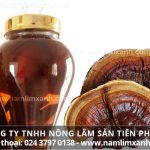 Nấm lim xanh ngâm rượu có tác dụng gì cách sử dụng rượu nấm lim