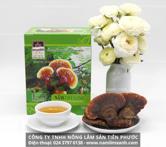 Nấm lim xanh ngâm rượu có tác dụng tốt giúp tăng cường sinh lực phái mạnh