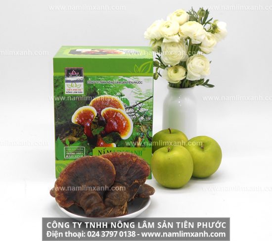 Nấm lim xanh rừng Tiên Phước có giá bao nhiêu