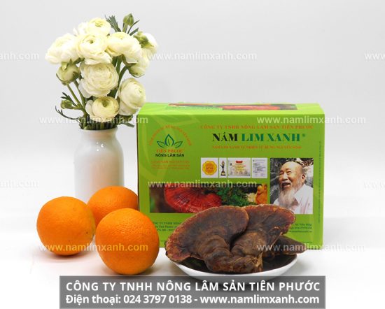 Nấm lim xanh rừng có nhiều tác dụng tốt cho sức khỏe