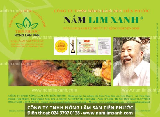 Nấm lim xanh rừng giúp giảm lượng đường huyết