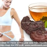 Nấm lim xanh tác dụng gì giúp làm đẹp và cách đắp mặt nạ nấm lim