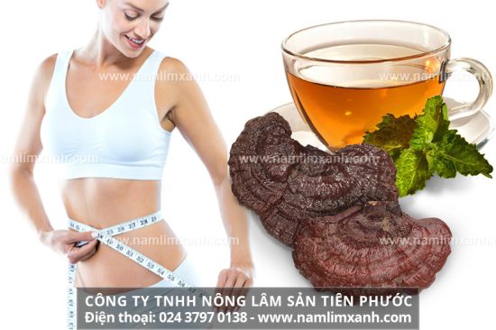 Nấm lim xanh tác dụng gì giúp làm đẹp và cách đắp mặt nạ nấm lim