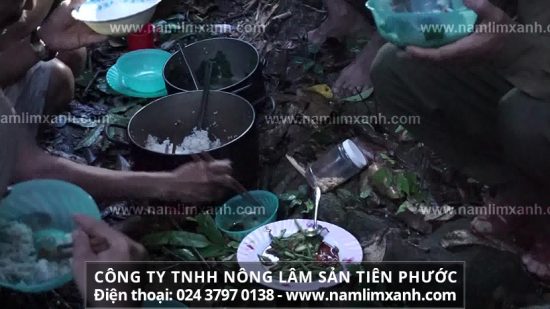 Nơi mua bán nấm lim rừng tự nhiên chính hãng