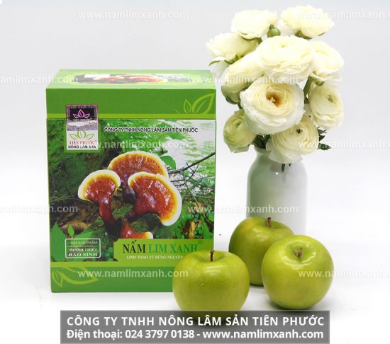 Tác dụng của nấm lim xanh Tiên Phước trong điều trị bệnh