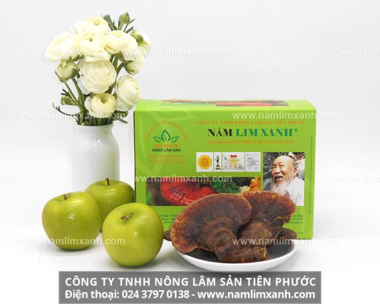 Tác dụng hỗ trợ điều trị, điều trị ngăn ngừa bệnh nan y của nấm lim xanh