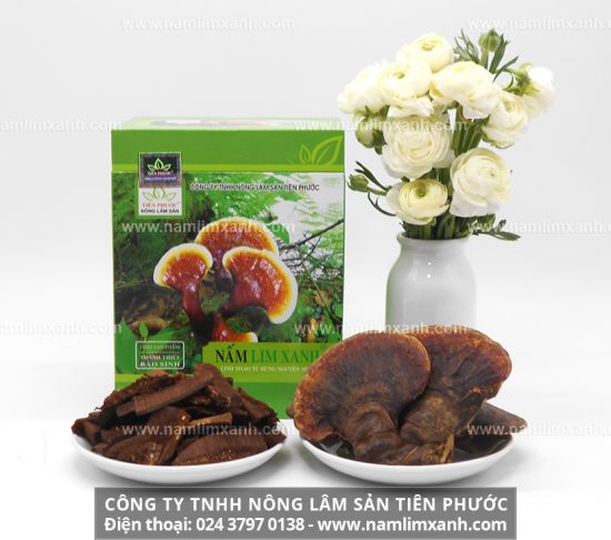 Tác dụng phụ của nấm lim xanh là gì cách tránh tác hại của nấm lim xanh