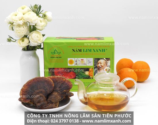 Thành phần dược chất trong nấm lim xanh và công dụng