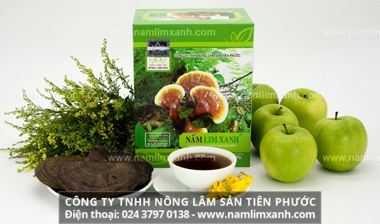 Uống nấm lim xanh kiêng gì và sử dụng nấm lim rừng tự nhiên kiêng gì