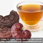 Uống nấm lim xanh nhiều có tốt không khuyến cáo sử dụng nấm lim