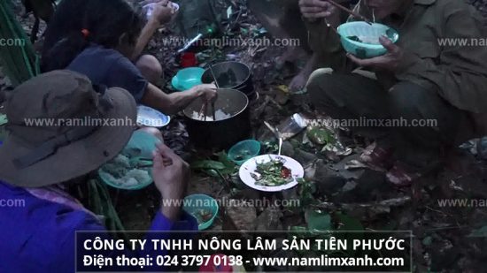 Uống nhiều nấm lim xanh có tốt không