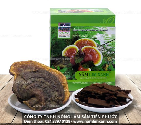 Uống nước nấm lim xanh sau bao lâu sẽ có tác dụng