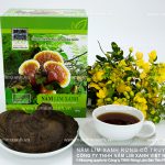Giá nấm lim xanh tự nhiên ở các địa chỉ bán nấm lim rừng tại Hà Nội