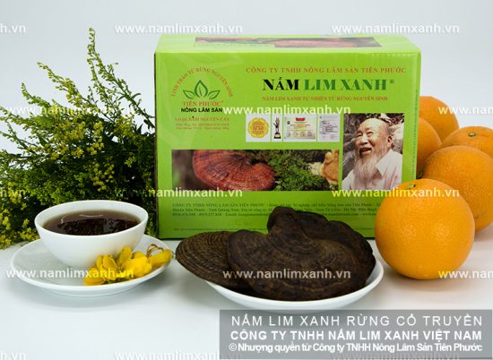 Hình ảnh về nấm lim xanh Việt Nam tự nhiên chính hãng
