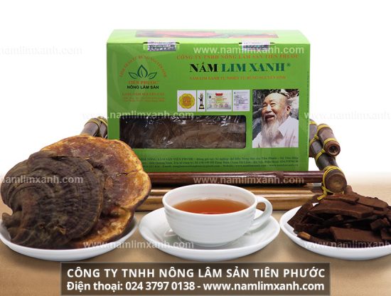 Cách dùng nấm lim xanh rừng Lào tốt nhất tránh tác dụng phụ