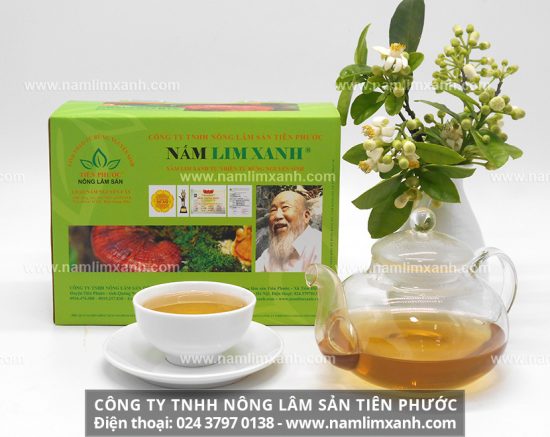 Cách sắc nấm lim rừng chữa bệnh ung thư và lưu ý gì khi sử dụng nấm lim xanh