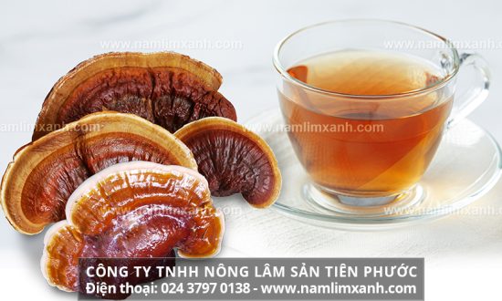 Cách sử dụng nấm lim xanh phù hợp với từng loại bệnh