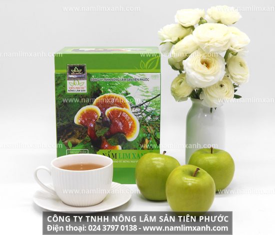 Công dụng nấm lim xanh Quảng Nam với sức khỏe