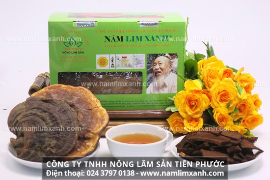 Liều lượng dùng nấm lim xanh cho bệnh nhân hóa-xạ trị