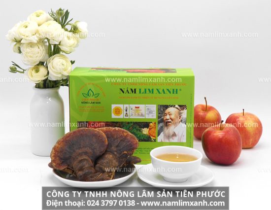 Màu sắc sẽ nói lên được chất lượng của nấm lim xanh thật