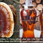 Nấm lim xanh cách sử dụng ngâm rượu có tốt cho người yếu sinh lý?