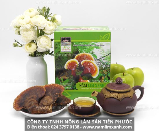 Nấm lim xanh có tác dụng như nào qua nghiên cứu của Viện Dược liệu Trung ương