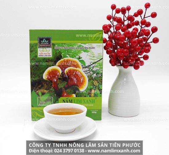 Nấm lim xanh giải độc cho bệnh nhân xạ trị, hóa trị