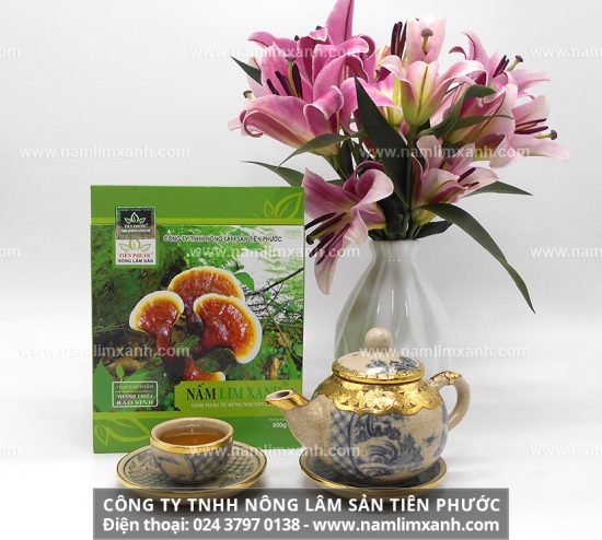 Nấm lim xanh loại Thanh Thiết Bảo Sinh