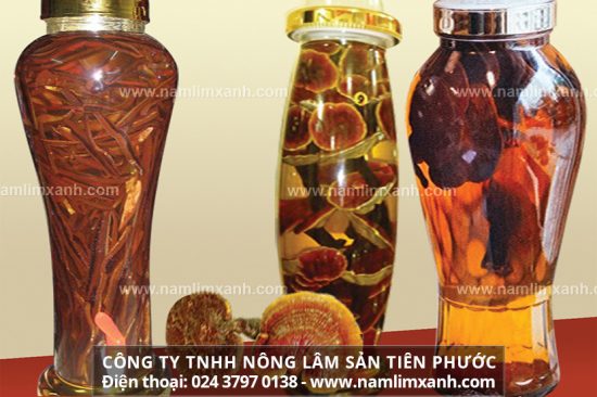 Nấm lim xanh ngâm rượu có tác dụng tăng cường sức khỏe