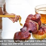 Nấm lim xanh tác dụng gì giúp làm đẹp cách uống nấm lim giảm cân