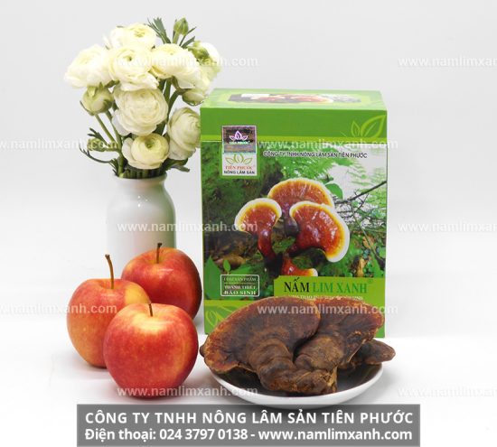 Ngâm rượu nấm lim xanh tẩm bổ cơ thể và giá bán nấm lim xanh bao nhiêu 1kg