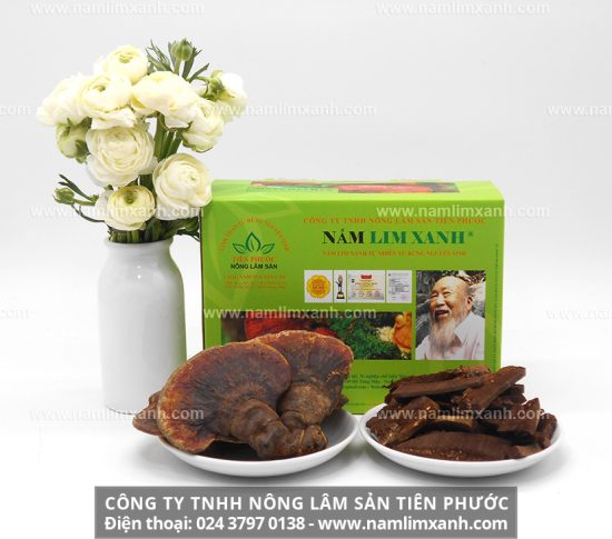 Nghiên cứu tác dụng nấm lim xanh tại bệnh viện St. John