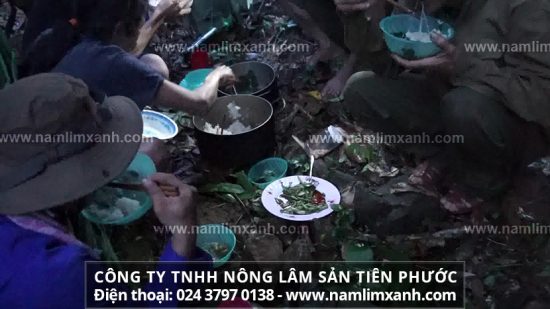 Tác dụng của nấm lim xanh phòng bệnh, bồi bổ sức khỏe