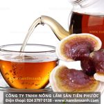 Trà nấm lim xanh chữa bệnh thế nào với cách dùng trà nấm lim xanh