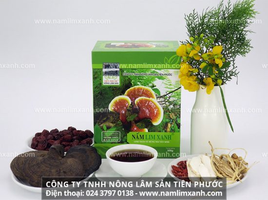 Uống nấm lim xanh có tác dụng gì