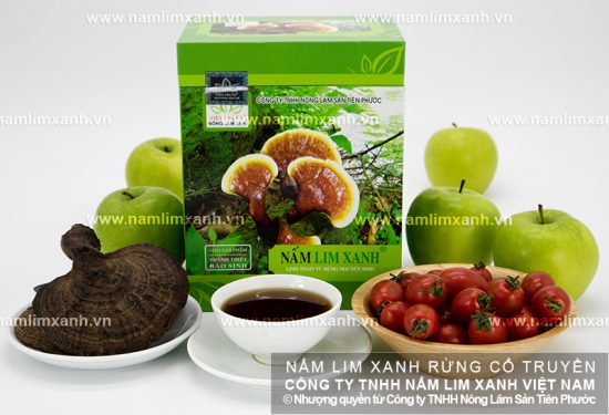 Công dụng nấm lim xanh Quảng Nam với sức khỏe