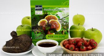 Công ty nấm lim xanh Quảng Nam bán nấm lim rừng thật hay giả?